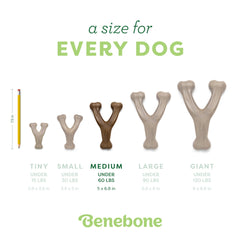 Benebone Wishbone Durable Dog Chew Toy for Aggressive Chewers, Real Bacon, Made in USA, Medium
