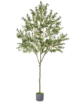 FLOWERGIRR Artificial Olive Tree, 6ft Tall Faux Olive Tree for Indoor with Realistic Olive Tree Branches and Lifelike Fruits, Fake Olive Tree for Modern Home Office Living Room Bathroom Decor Indoor