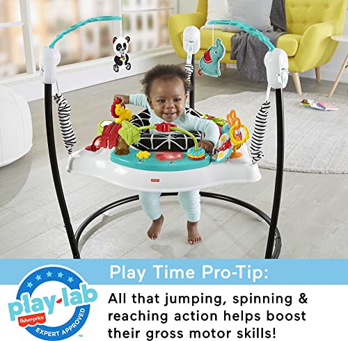 Fisher-Price Baby Bouncer Pink Petals Jumperoo Musical Activity Center with Lights Sounds & Developmental Toys