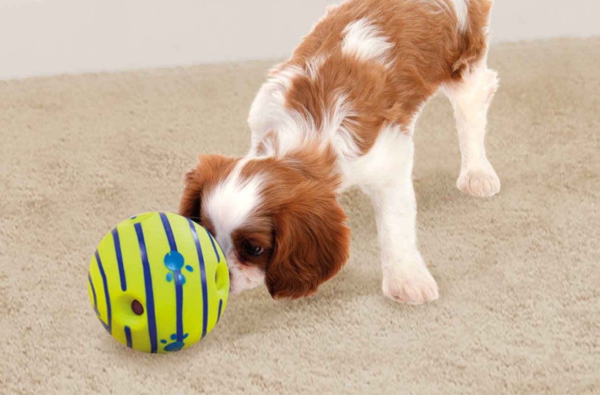 Wobble Wag Giggle Ball, Interactive Dog Toy, Fun Giggle Sounds When Rolled or Shaken, Pets Know Best, As Seen On TV