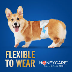 HONEY CARE All-Absorb A26 Male Dog Wrap, 50 Count, Small