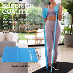 5 Pcs Professional Resistance Bands. Latex-Free, Elastic Band, Work Out Bands, Stretch Bands for Working Out Women or Men, Exercise Bands Set for Physical Therapy, Yoga, Pilates (5 Colour Set)